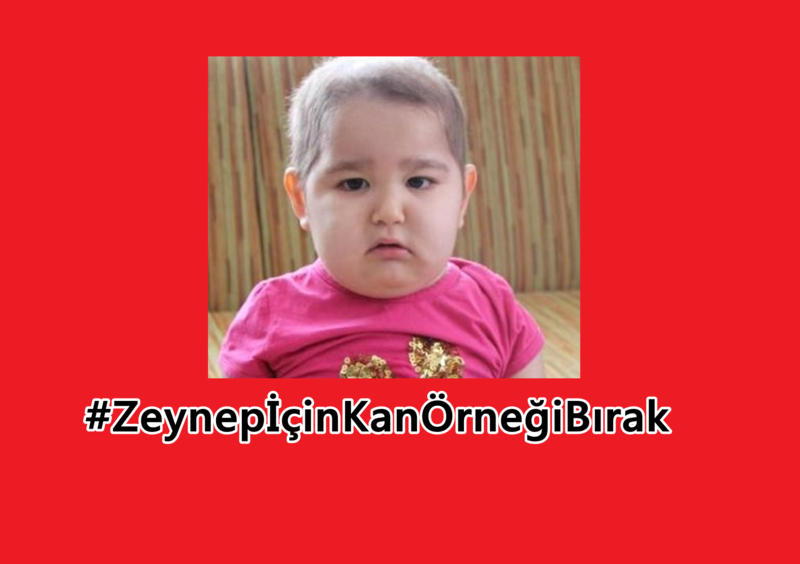 ZEYNEP GÜLCAN İÇİN KRİTİK SÜREÇ BAŞLADI
gazetebolu.com/--12048.html