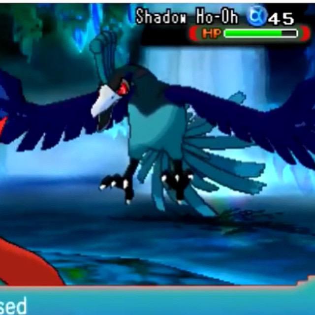 はなまさ Shadow Ho Oh ダークホウオウ が出てる動画見た 凄かった ﾉ ﾉ Http T Co 2q5fll05yj Twitter