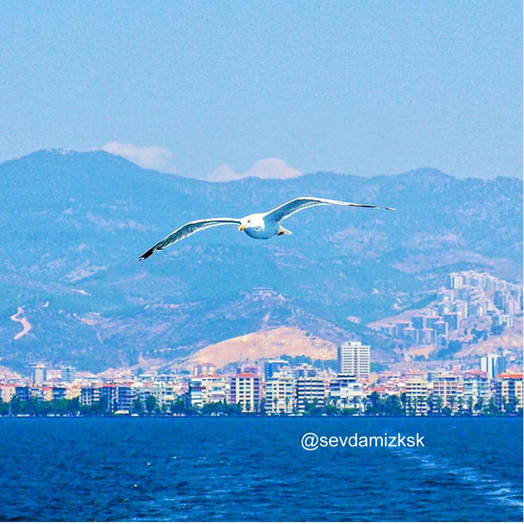 Sevdamız Karşıyaka (@sevdamizksk) on Twitter photo 