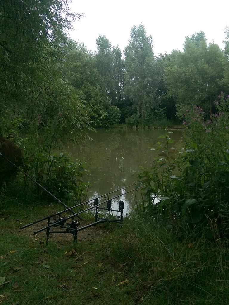 JasonHewer's tweet photo. I can't think of a better way of spending my time than surrounded by #nature . #carp  #getoutdoors  #naturelover http://t.co/ItWxrdvq4a