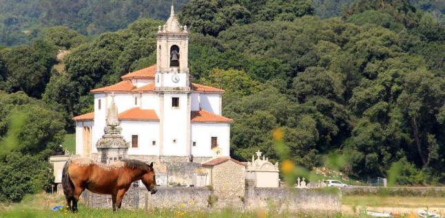 lanuevaespana's tweet photo. "Toto", tristeza de amor equino en Barru http://t.co/uZyv9K0did http://t.co/g6GdKewk65