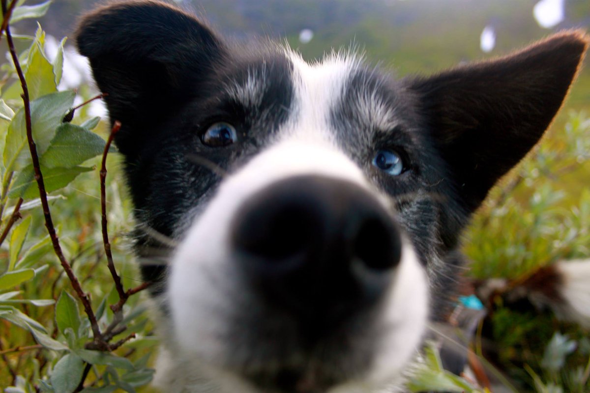 Wildernesscenter tweet media