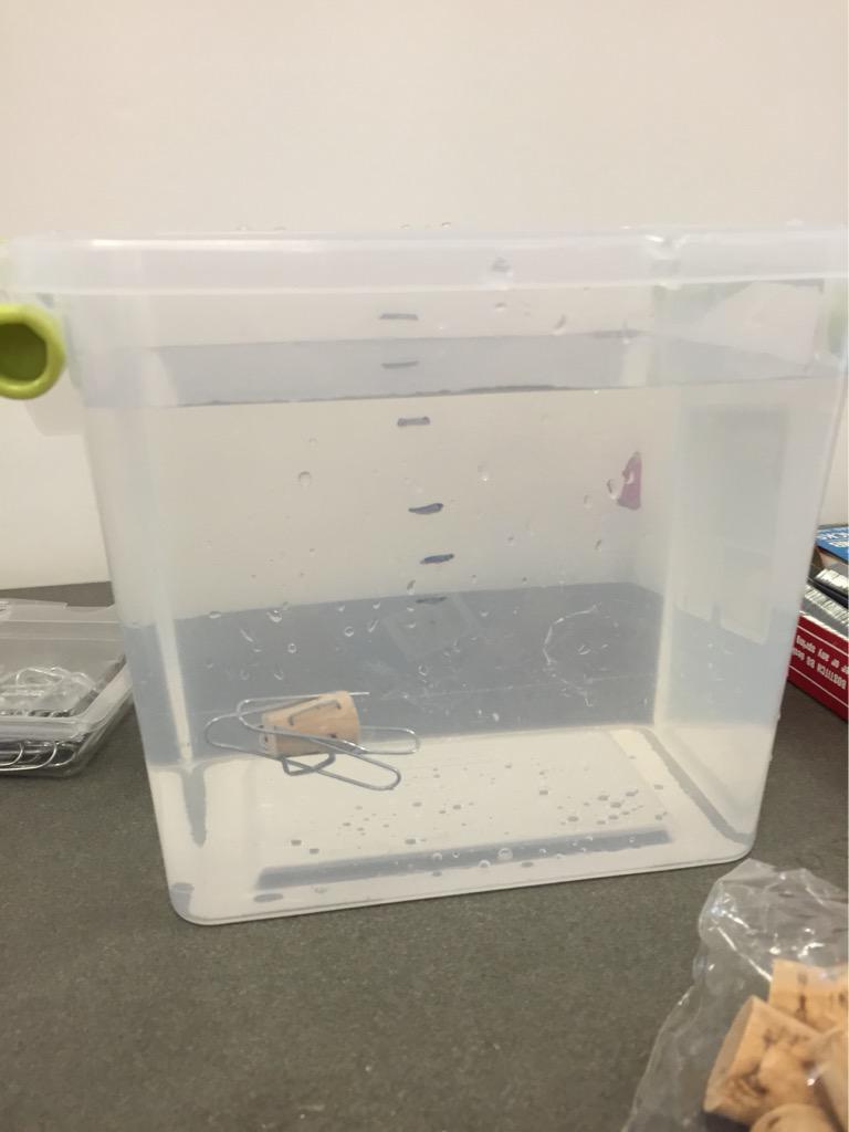RobynEdington's tweet photo. It doesn't float, it doesn't sink, it flinks! #makerspace @crewsertech @DeanPhillipsMT http://t.co/UsvsWmeEFP