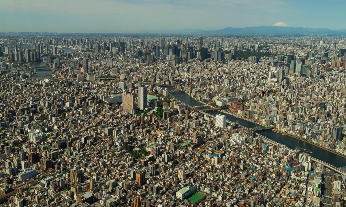t_rex_rekt's tweet image. #Tokyo City is amazing