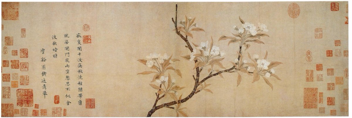 NTDCulinary's tweet photo. Pears are ancient fruits that have been cultivated in China for 3000 years and make great fruit, dessert, &amp; medicine! http://t.co/z9AOoNR18y