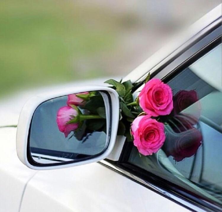 arwaAlshah's tweet photo. http://t.co/eys5EhzhhG