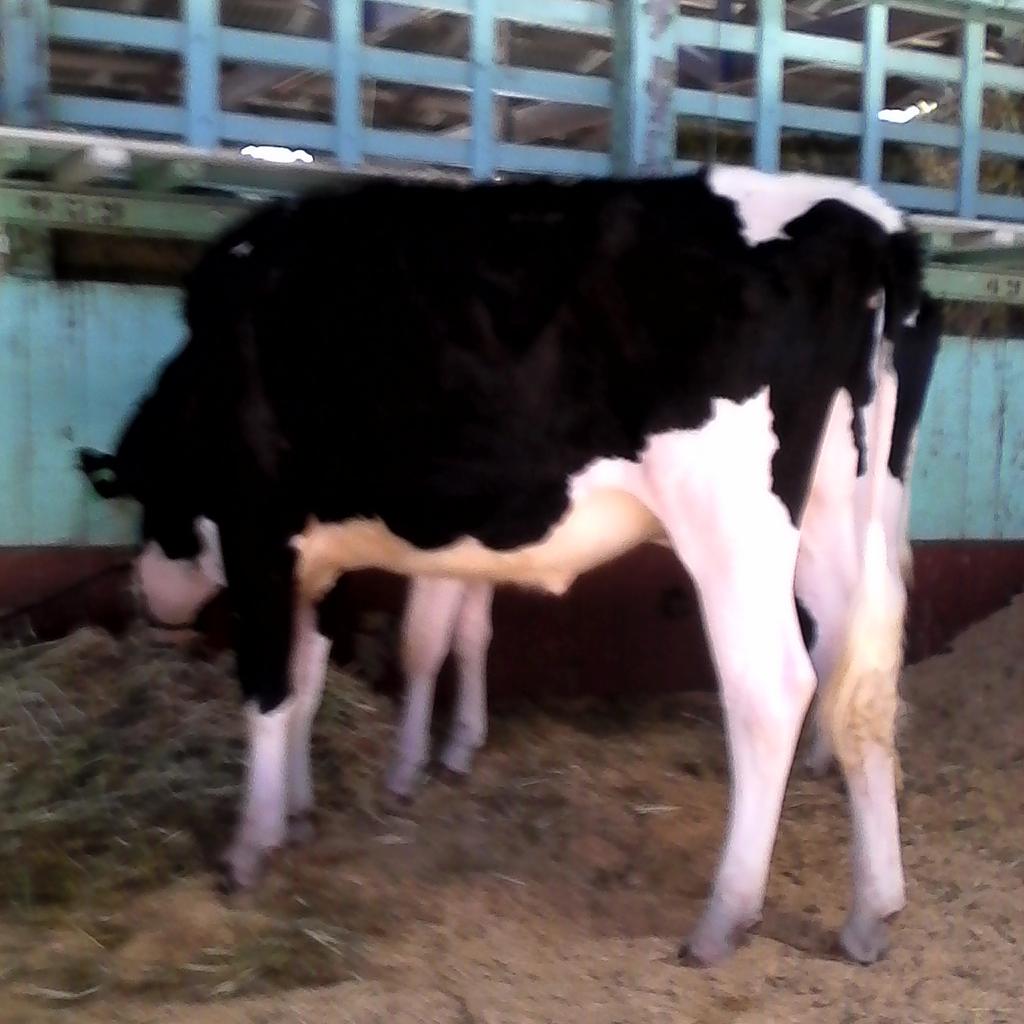 StackKenton's tweet image. I