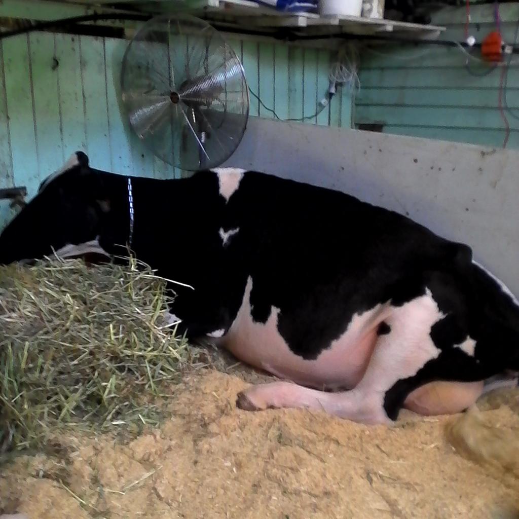 StackKenton's tweet image. I