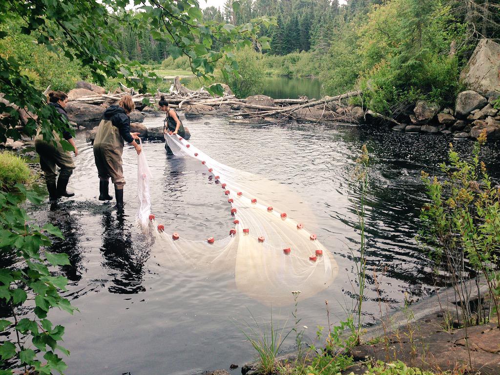 Rowshyra's tweet photo. Who said ladies don't fish? #gonesampling @AlgonquinPark #MandrakLab @fielding16 http://t.co/3GJ8aIMx4l