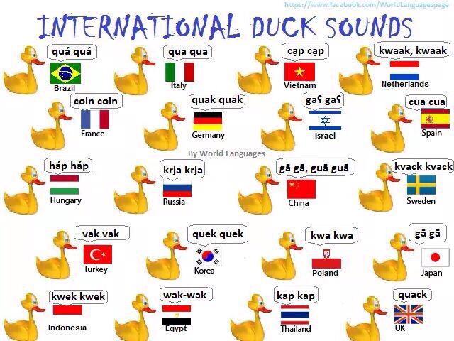 Duck languages around the world