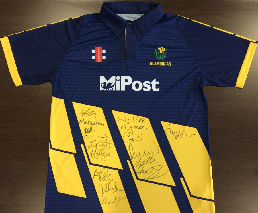 glamorgan cricket shirt