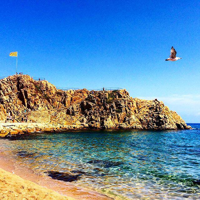 cat_testimo's tweet photo. El nostre raconet de la #costabrava ❤️⚓️❤️
#sea #descans #mar #moments #devacances #timetodonothing #vacaciones #va… http://t.co/UAVi78jUQg
