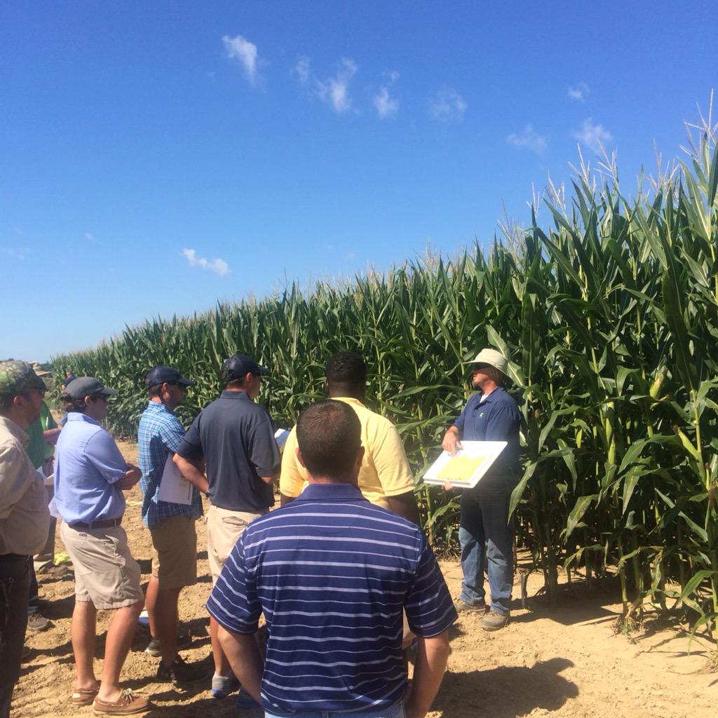 curtcooper4's tweet photo. Learning about our new hybrids at our Galena research station. http://t.co/LuPxlHVaa9