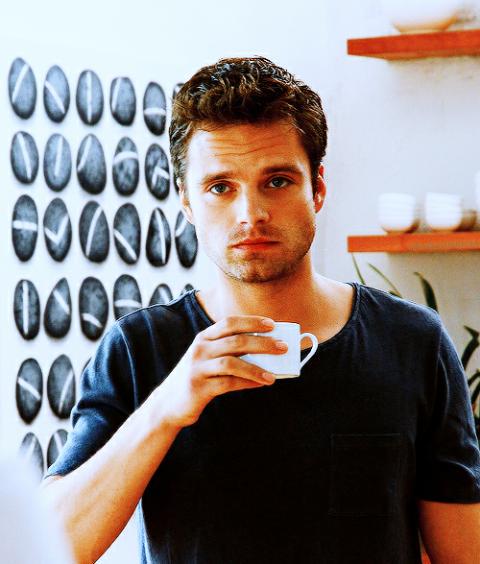 Happy Birthday Sebastian Stan!! 