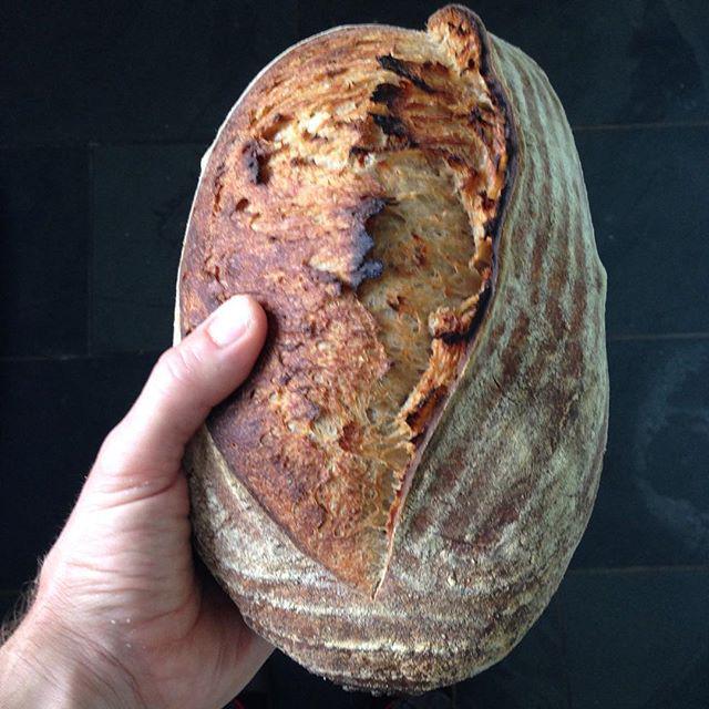 BerthasPizza's tweet photo. #BritishWheat milled at @e5bakehouse baked here at #BerthasHQ #sourdough #nofilter http://t.co/tK0We1WNFz