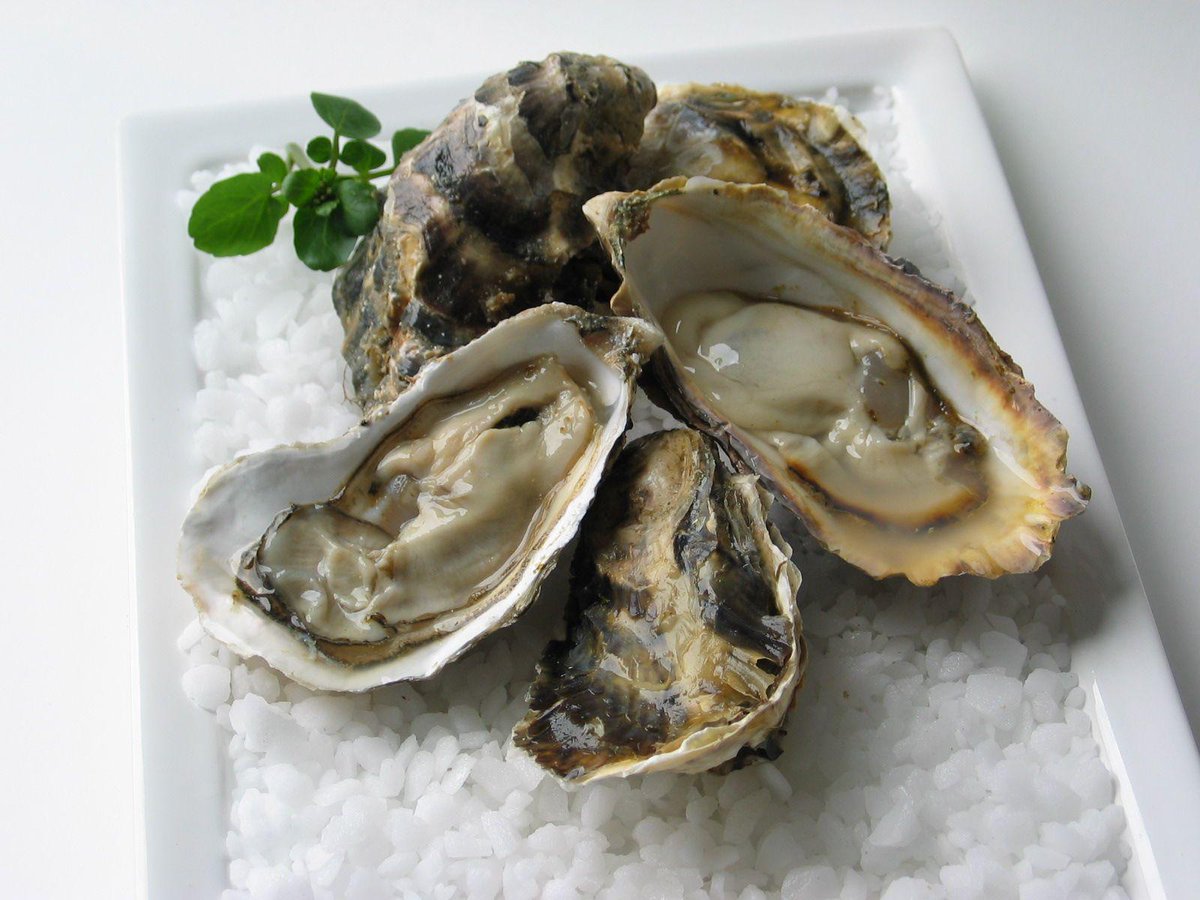 rosefletching's tweet photo. #oysters at our happy hour Friday and Saturday 5-7pm 14/15th August. Fresh crab and stuffed sardines on menu. http://t.co/7YFDqwn70i