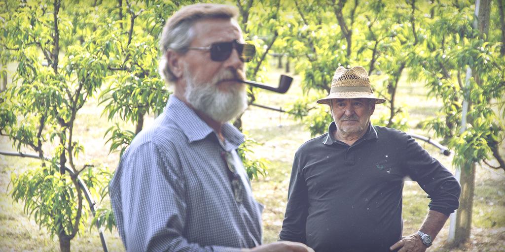 PicenoExpress's tweet photo. #Countryside is also the possibility to smoke the pipe while you're observing the #fruits of your efforts. http://t.co/h48X39azbq