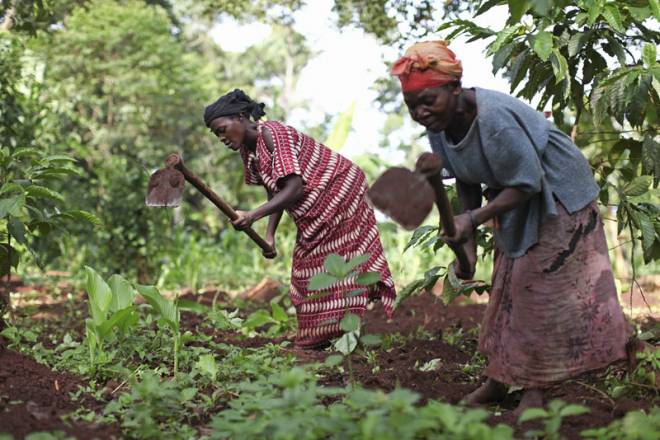 ntvuganda's tweet photo. Are women in Uganda adequately enjoying their right to land and property? #NAPUG http://t.co/dLq6yi8sZC