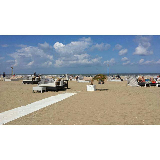 KorovaTravel's tweet photo. Нидерланды
#korovatravel #expedition #netherlands #sun #sea #travel #путешествия #приключе… http://t.co/zNDAjxn6ma http://t.co/04XZlJtggV