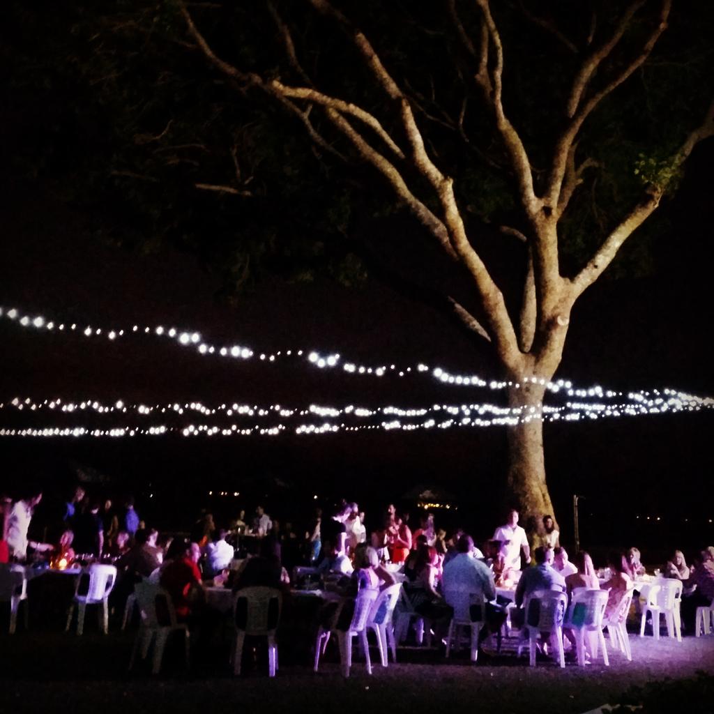 Florette_Melb's tweet photo. Darwin #weddings #florist #flowers #party #melbourneflorist #weddingflowers #bridalparty #boutique #melbourneflowers http://t.co/D3nanHTBNg