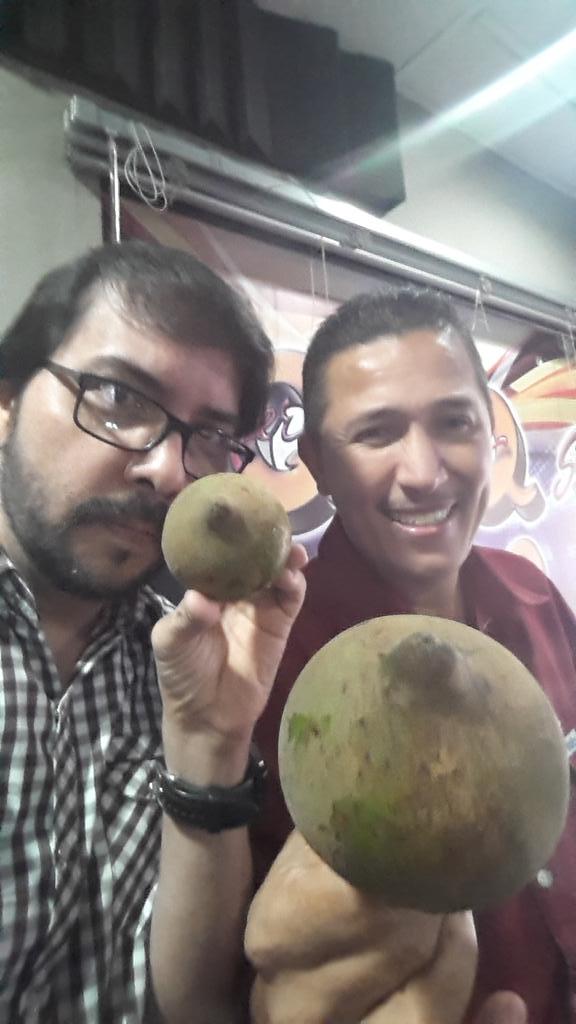 La famosa fruta "Teta e' Chola" que nos trajo Piolín desde Chiriquí <a href="/SuperQPanama/">Super Q Panamá</a>