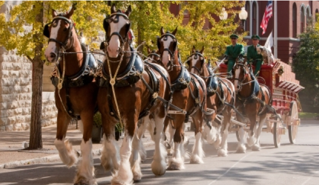 visitbrandywine's tweet photo. The @Budweiser Clydesdales are coming back to #WestChesterPA! http://t.co/GDcqwRD8o0 via @wcbid #VisitBV #Clydesdales http://t.co/wkudJTOtOH