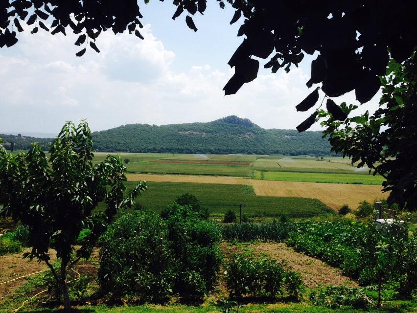 Nanda Haaijer (@nandahaaijer) on Twitter photo 