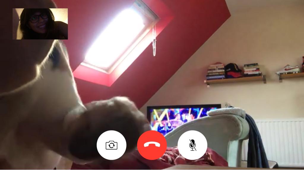 chinton252's tweet photo. Smeagol and I #vote for @beaglefreedom via FaceTime! #UpgradeYourWorld http://t.co/9r614y1YXO