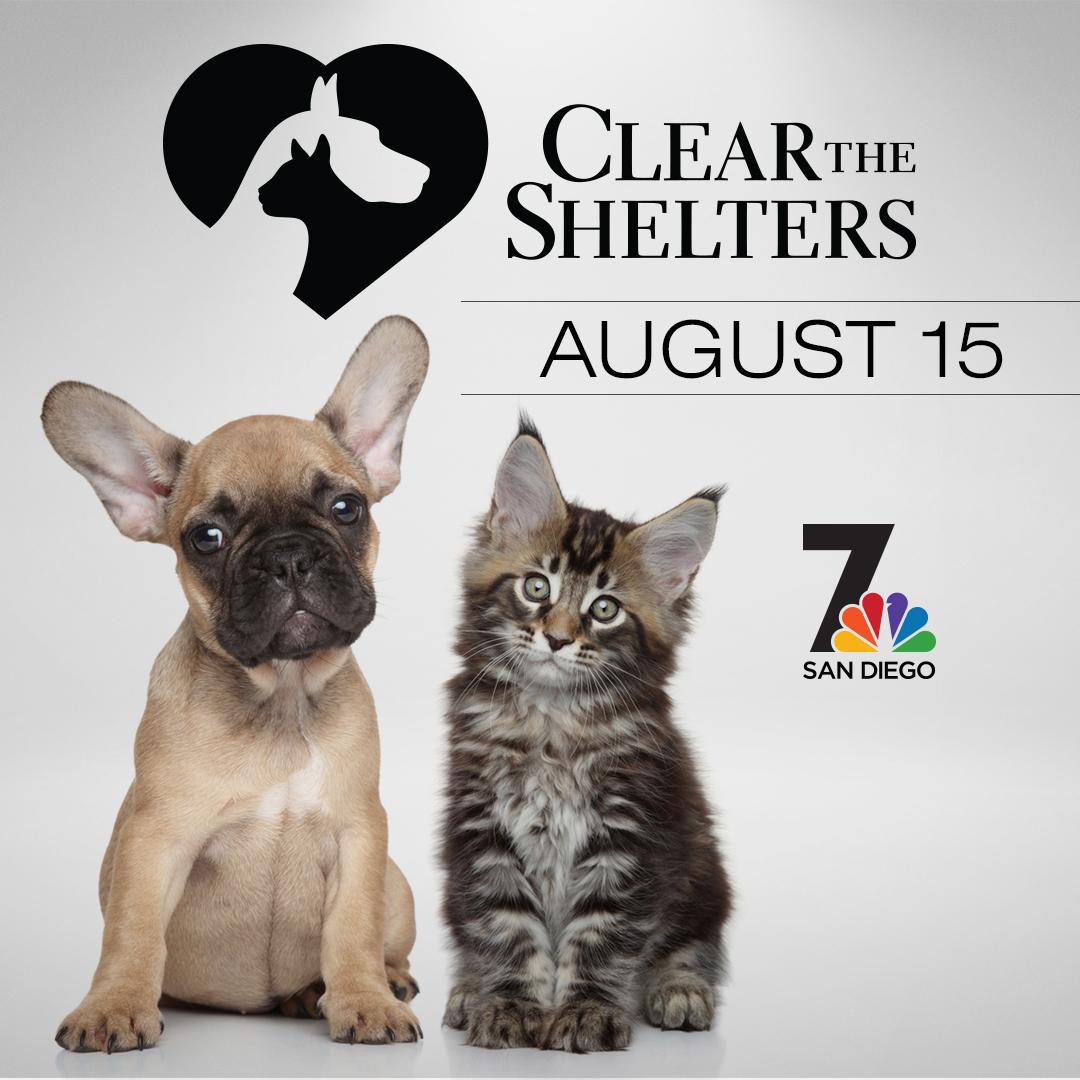 NBCSDCommunity's tweet photo. All adoption fees waived for one day only at participating shelters! #CleartheShelters this Saturday 8/15! #NBC7 http://t.co/2fuyC1LiYA