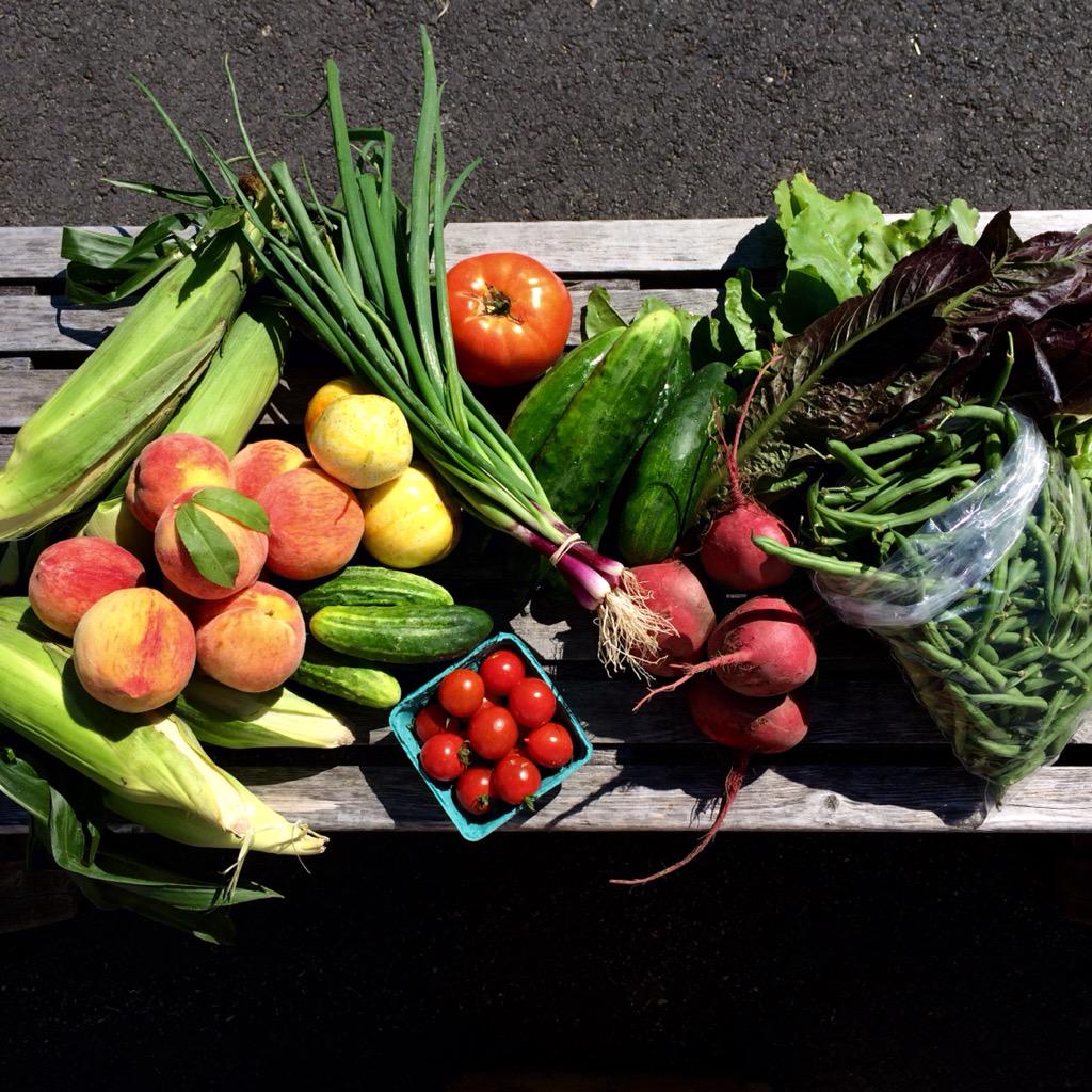 ApplecrestFarm's tweet photo. Today's CSA share: nothing but summer goodness. http://t.co/PV9g1OMeey