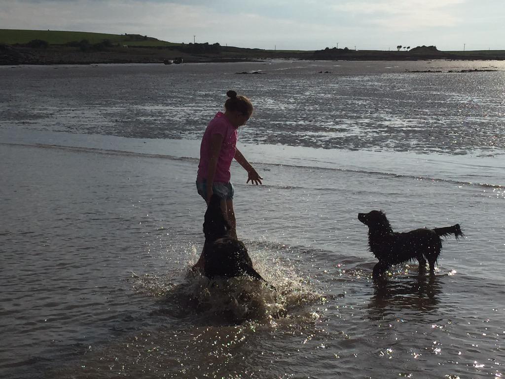 Sue Dale-Sunley tweet media