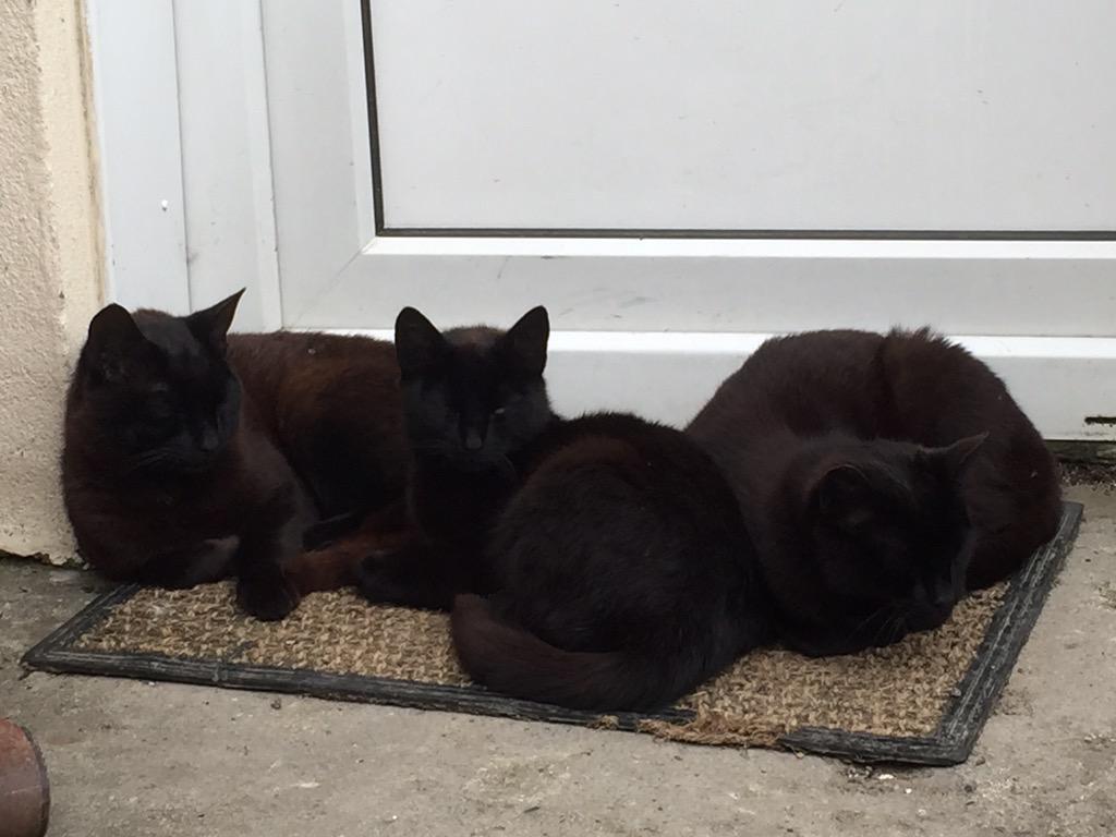 Fun in the sun #summer #Kirkcudbright <a href="/DGWGO/">Dumfries & Galloway! What's Going On?</a> @GoRuralScotland <a href="/DGMarkets/">DG Markets</a> <a href="/ourdg/">Our DG</a> @DumfriesArt <a href="/SolwayTours/">Solway Tours</a> #rossbay