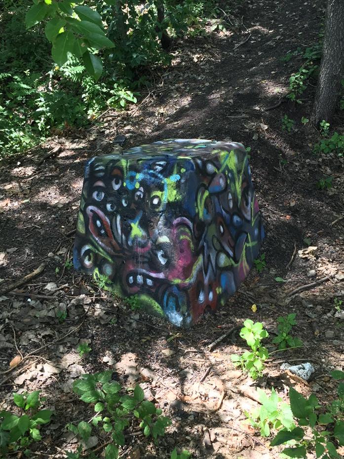 This is why you get the feeling you are being watched in the woods.