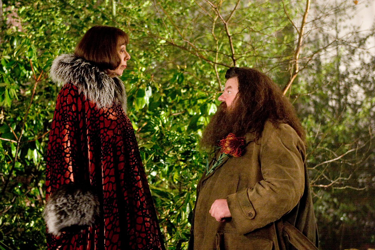 escaleren Aan boord Rationalisatie Harry Potter on Twitter: ""I thought perhaps you had forgotten me." - Madame  Maxime "Couldn't forget you, Olympe." - #Hagrid #HarryPotter  http://t.co/QHhfQ1TqfY" / Twitter