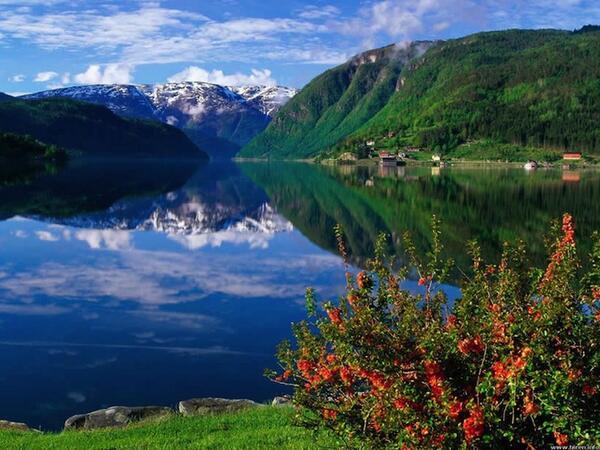 8n33Bot tweet picture