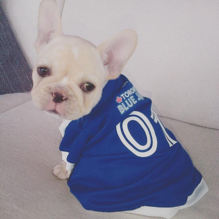 pup_and_kit's tweet photo. #tbt to Doug's first Jays jersey. He has always been a fan #gojaysgo #bluejays #toronto #mlb #baseball http://t.co/5VQWTuJMUh