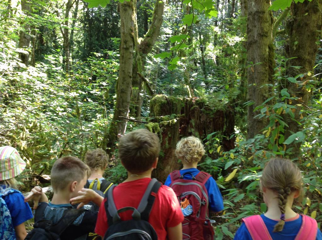 TryonNatureCamp's tweet photo. A moment from Monday with a nurse stump. #fotcOctave http://t.co/Pim5TsEf8P