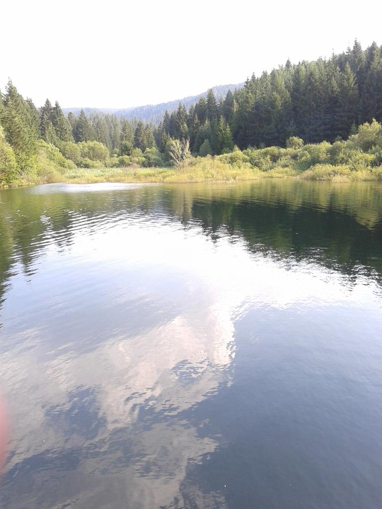 HarisBasic78's tweet image. Glamoc,jezero busija.I ovo je BiH.