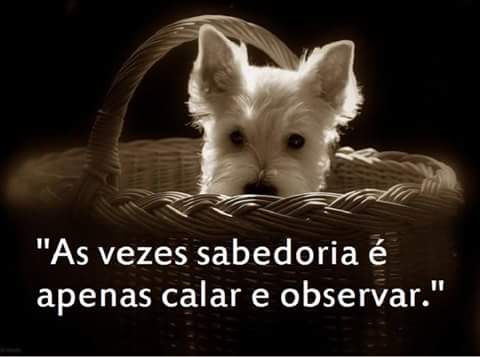 Patrícia TimBeta (@agoespaty) on Twitter photo 