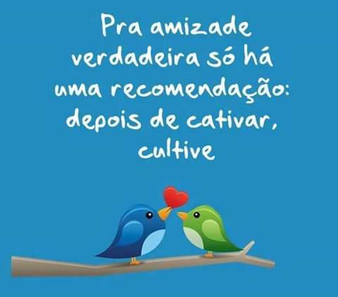 Patrícia TimBeta (@agoespaty) on Twitter photo 