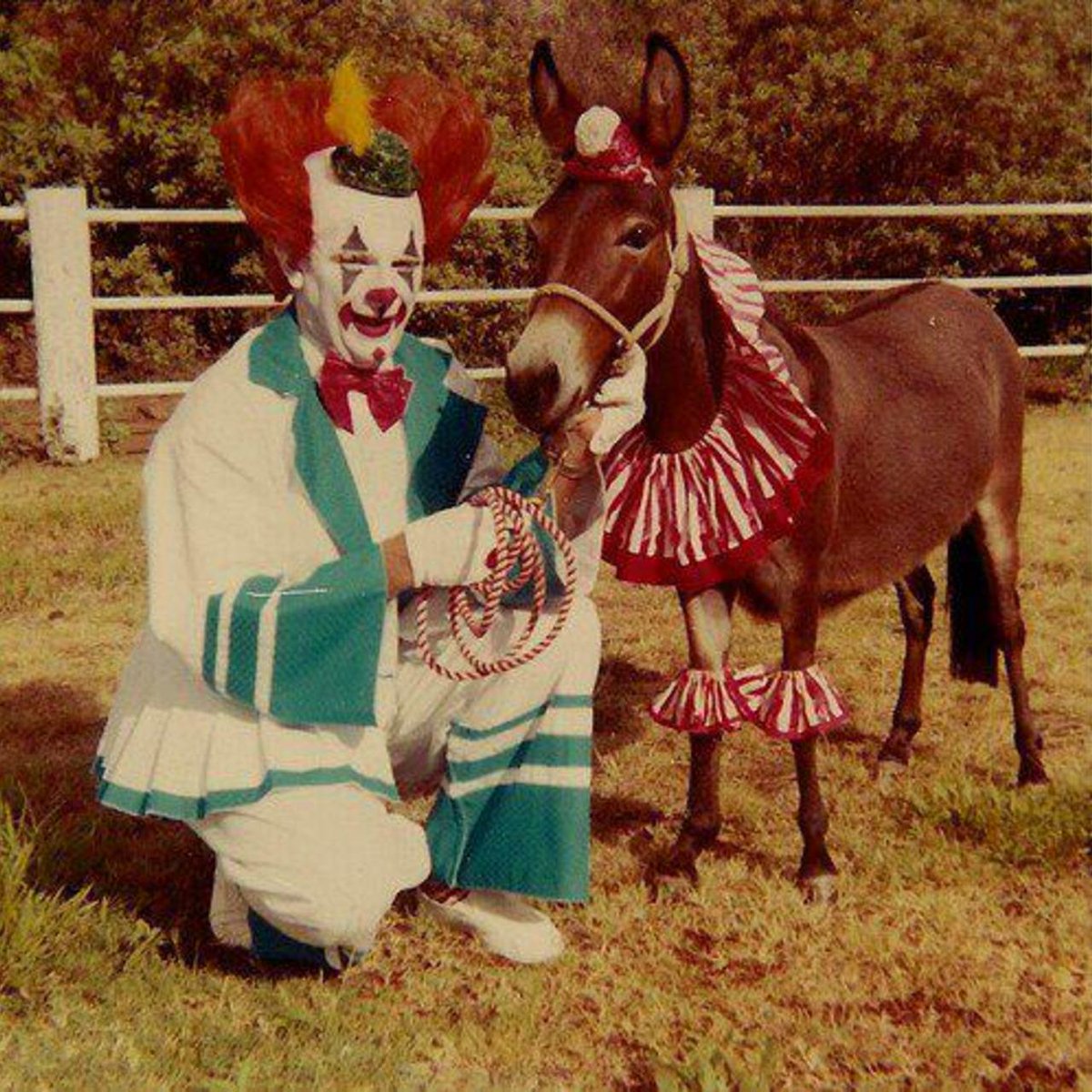 Eric Weiss 🤘💀 on Twitter: &quot;#ThingsNotToBringToAFuneral A Clown &amp; Donkey  Show. #horror http://t.co/iNYiEyM8sa&quot;