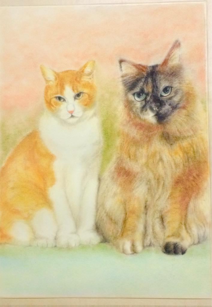 macha_art's tweet photo. 猫似顔絵…
三毛猫はたいへん

♯猫
♯パステル画
♯似顔絵 http://t.co/JWvW1lx5xc