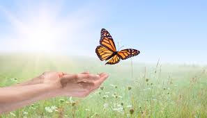 "In the middle of difficulty lies opportunity." – Albert Einstein
youressentials.com