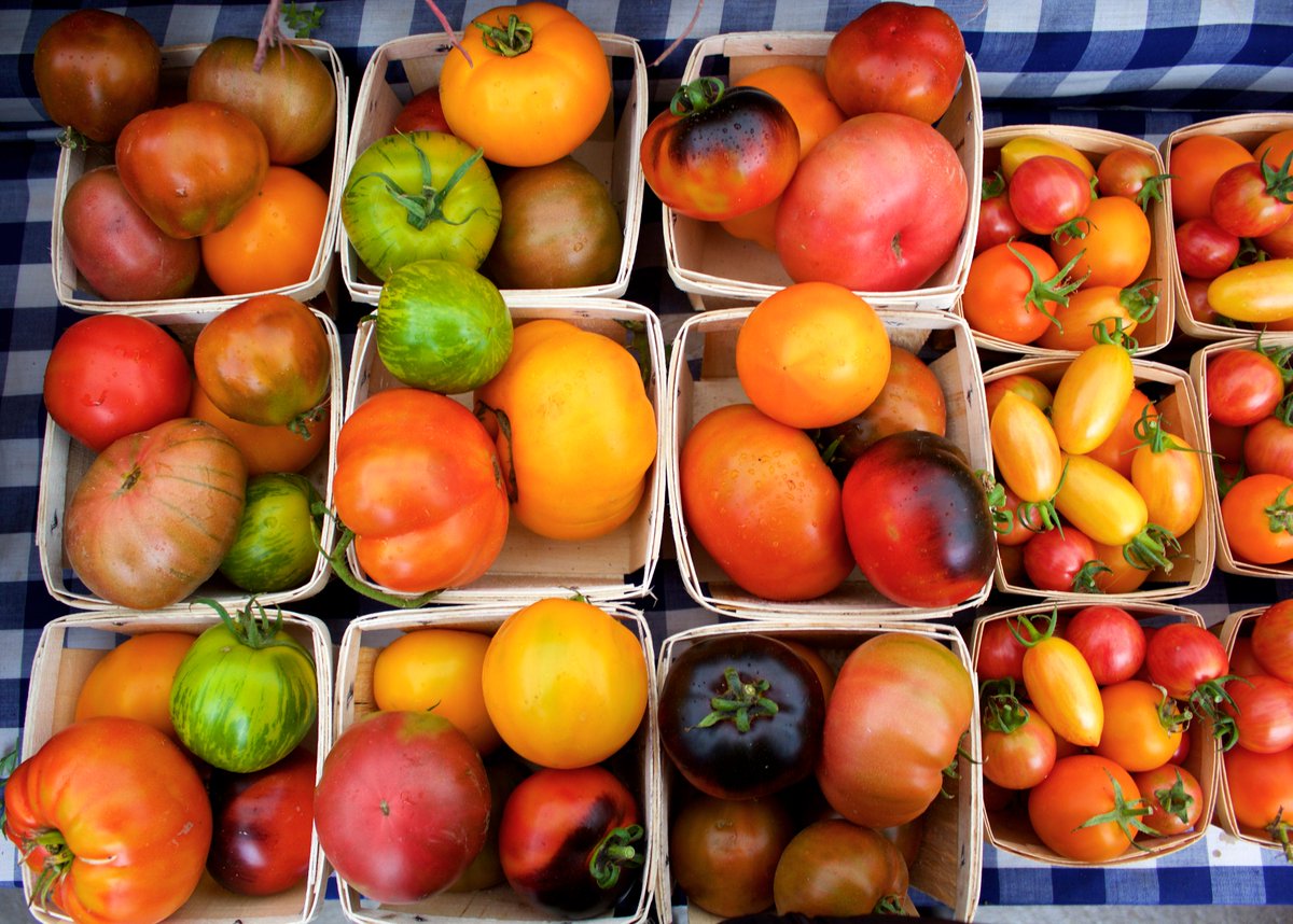 lisaakates's tweet image. I think this photo from @soraurenfarmmkt sums up why we shop at markets and support local farmers. #eatlocal #eatwell