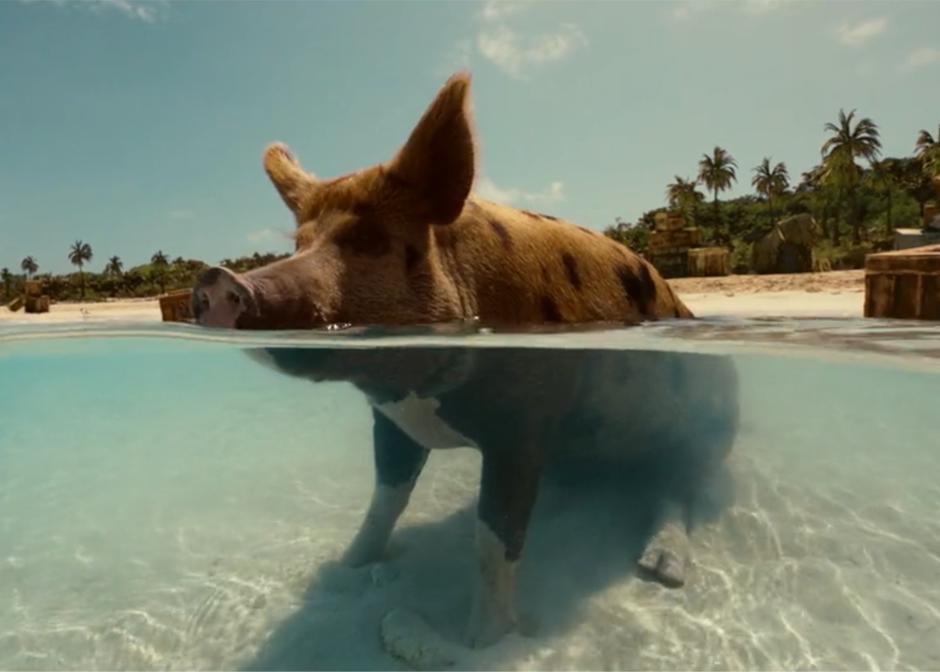 VFX Studio <a href="/MillChannel/">Annunziata Briccialdi</a> Creates Island of Happy Pigs for Angry Birds 2 - bit.ly/1P8zThT