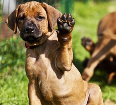 viscins's tweet photo. Happy National #LeftHandersDay, southpaw-ers! http://t.co/LiK8gXOeL7