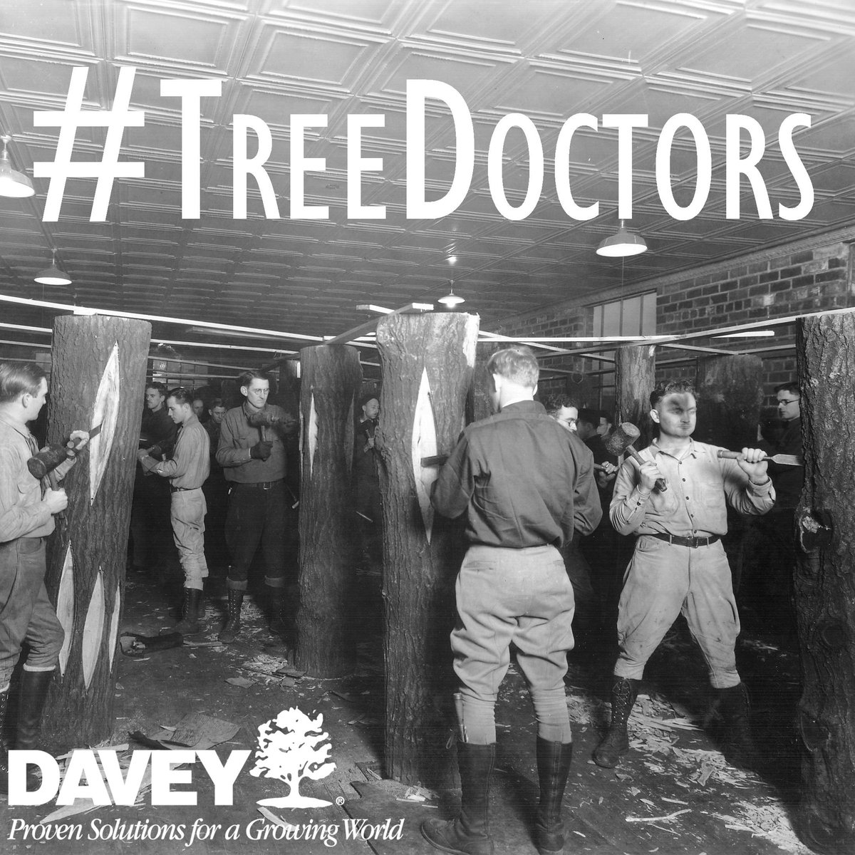 DaveyTree's tweet photo. #TBT Davey arborists practice #tree cavity work at the indoor forest in 1928. #DaveyHistory #TreeDoctors http://t.co/dYUMnsKg8D
