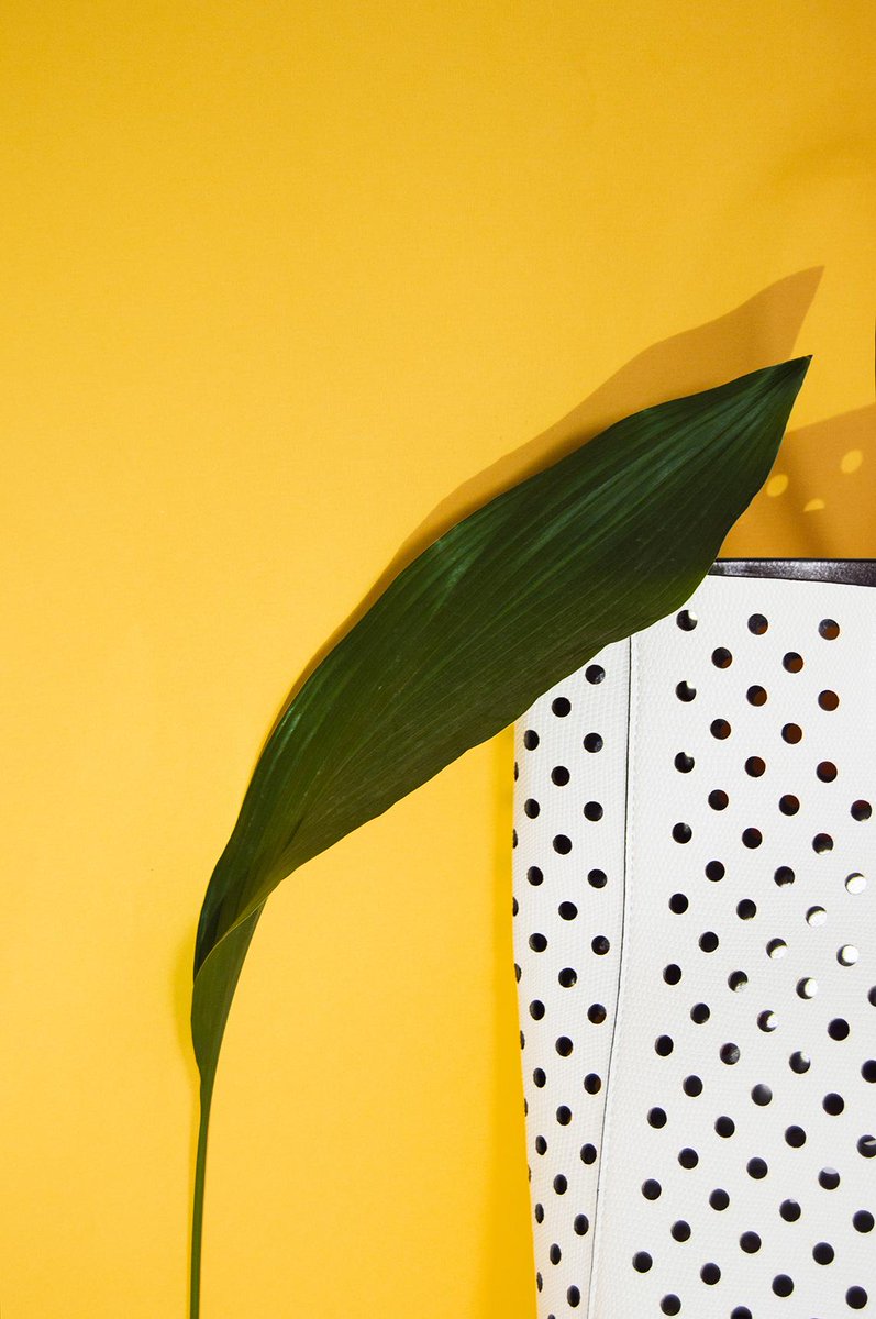 JessKingPhoto's tweet photo. Looking back on this shoot i did when i was excited for summer, feels like summer is almost over! #summer #stilllife http://t.co/rSVlp3bAPD