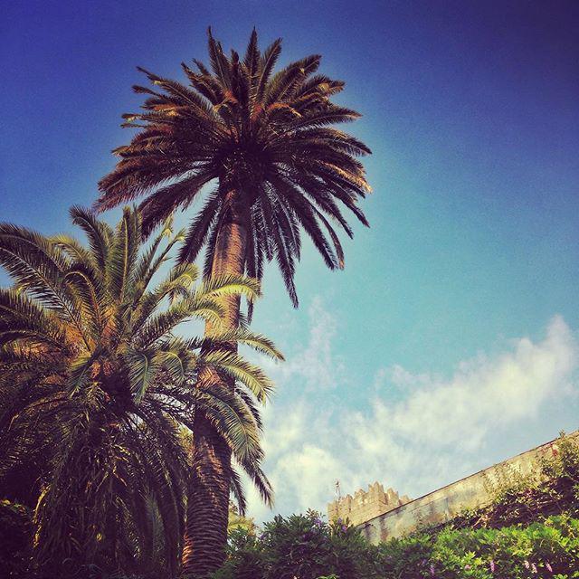 InstaPic by jamescoghill: #Italy #sun #sky #tree #hot #clouds #sorrento #Amalficoast #summer