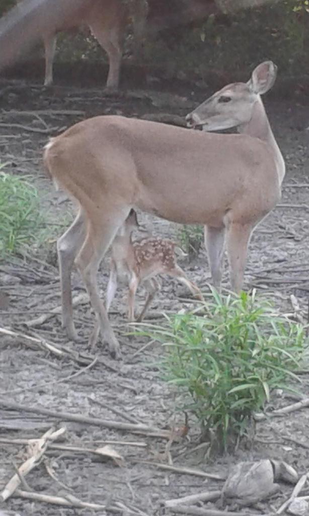 Yhonny Marin (@yhonnymarin) on Twitter photo 